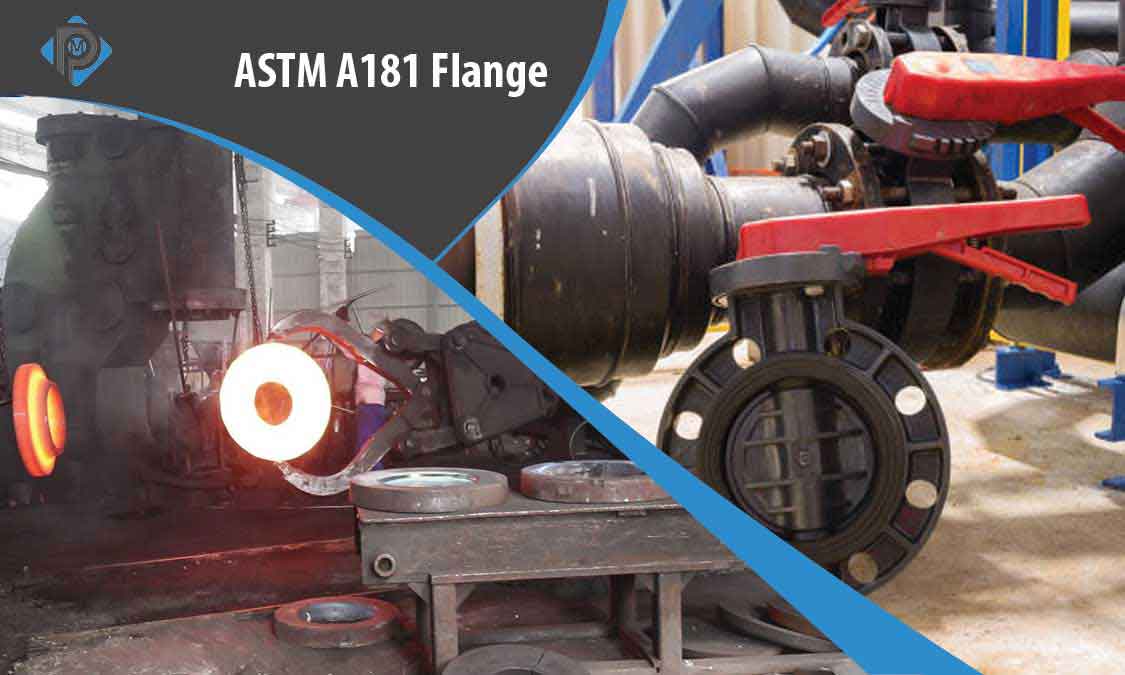 ASTM A181 Flange Manufacturer