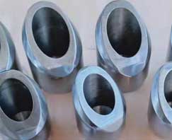 SS Socket Weld Elbolet