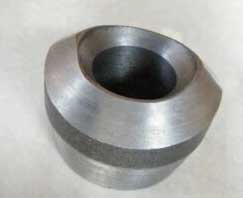 SA182 Stainless Steel Weldolet