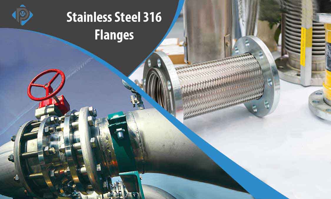 Stainless Steel 316 Flanges